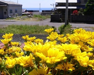 E88AB1-thumbnail2.jpg